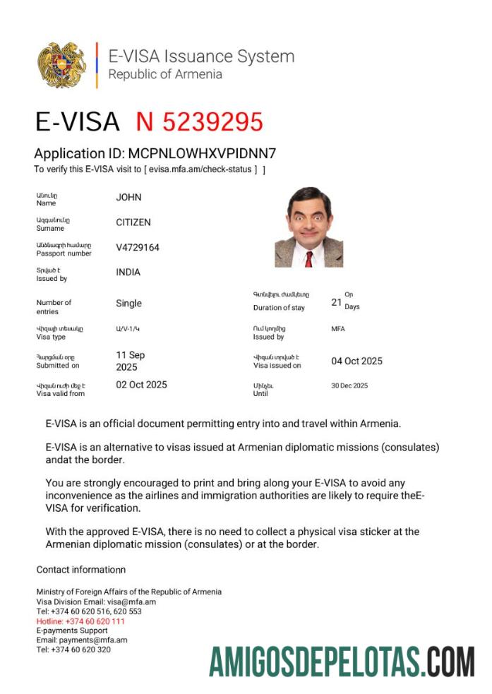 em branco Modelo de visto E da Armênia em formatos Word e PDF